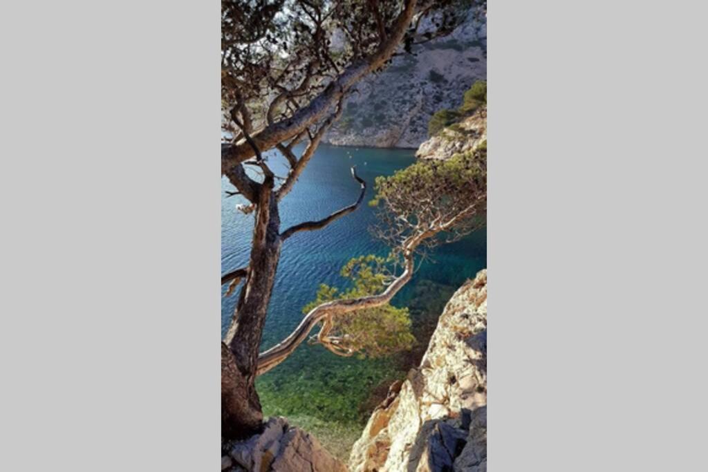 Suite Sur La Mer Marseille Corniche Екстер'єр фото